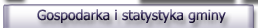 Gospodarka i statystyka gminy